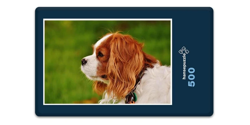 18831 Tierwelt - kleiner Hund Puzzle