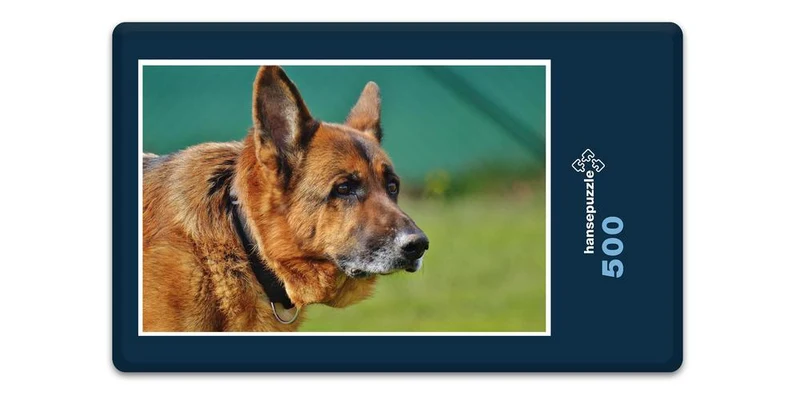 18826 Tierwelt - Schäferhund Puzzle