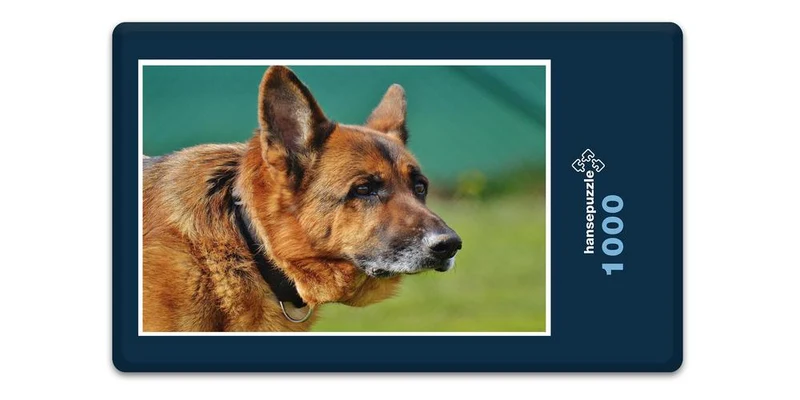 18826 Tierwelt - Schäferhund Puzzle