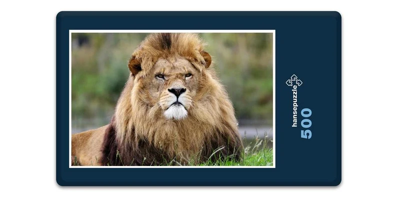 16894 Tierwelt - grimmiger Löwe Puzzle