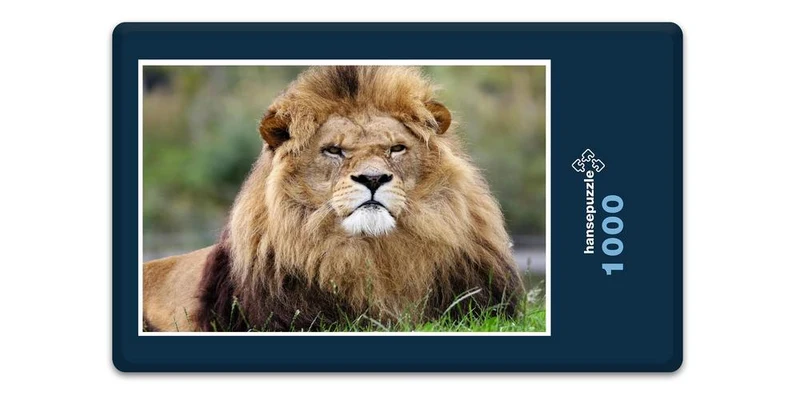 16894 Tierwelt - grimmiger Löwe Puzzle