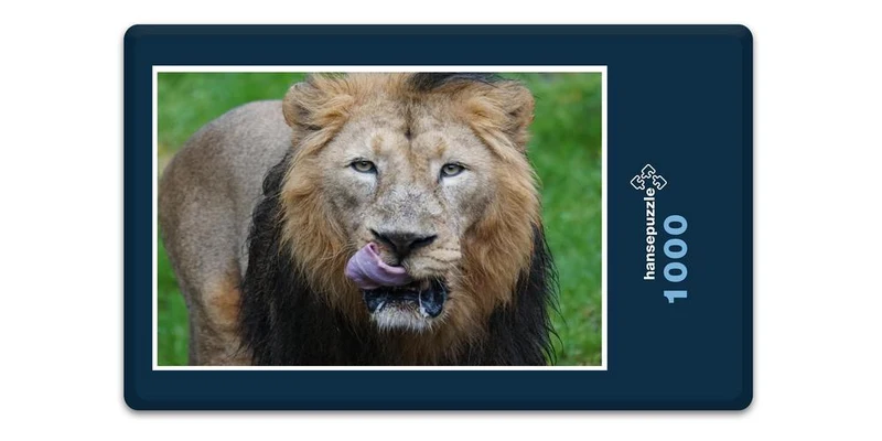 16889 Tierwelt - König der Tiere Puzzle