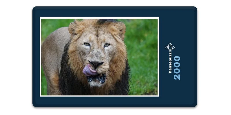 16889 Tierwelt - König der Tiere Puzzle