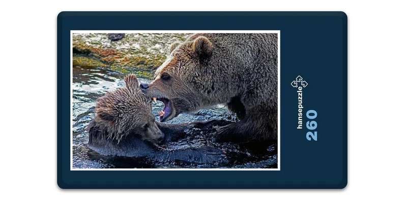16682 Tierwelt - Bären-Familie Puzzle