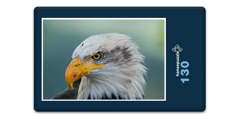 16814 Tierwelt - Weißkopf-Seeadler Puzzle