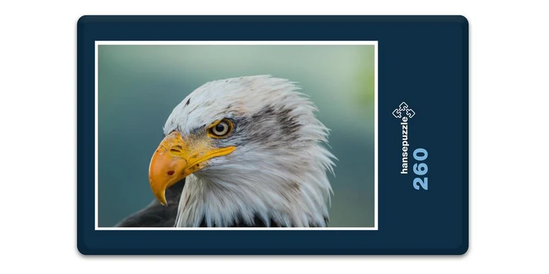 16814 Tierwelt - Weißkopf-Seeadler Puzzle