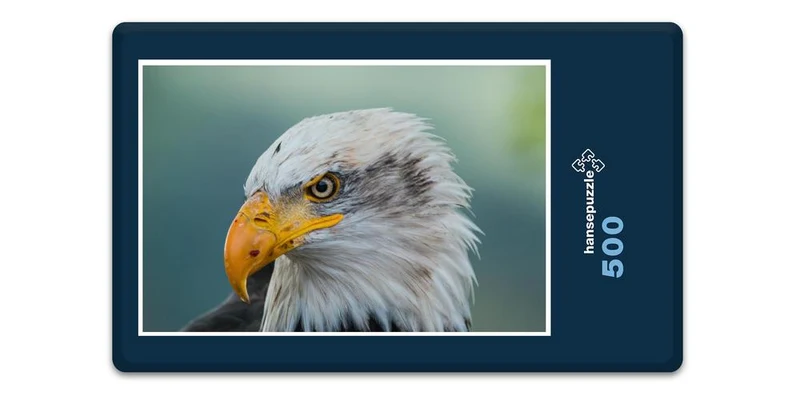 16814 Tierwelt - Weißkopf-Seeadler Puzzle