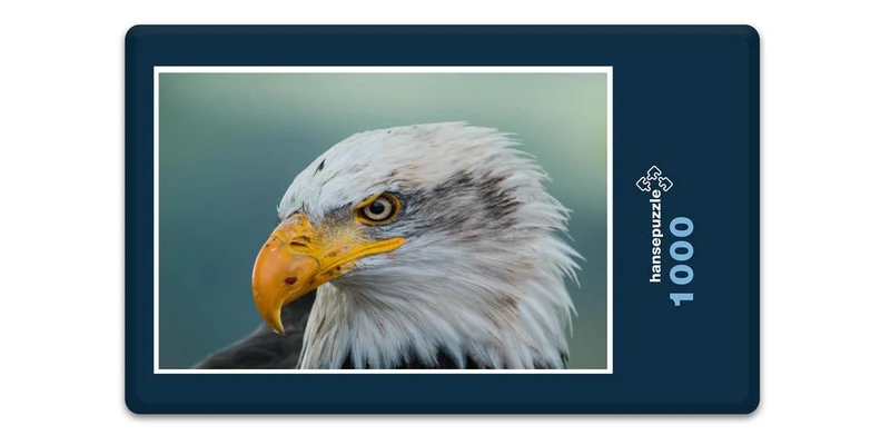 16814 Tierwelt - Weißkopf-Seeadler Puzzle