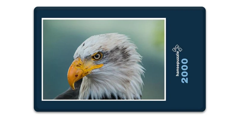 16814 Tierwelt - Weißkopf-Seeadler Puzzle