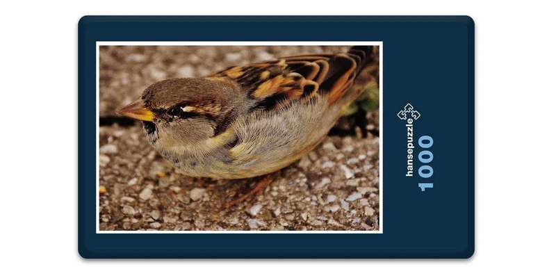 16809 Tierwelt - Spatz Puzzle
