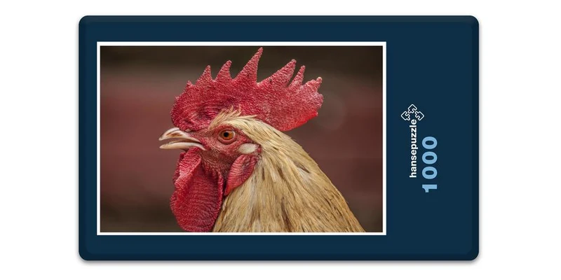 16672 Tierwelt - Hahn Puzzle
