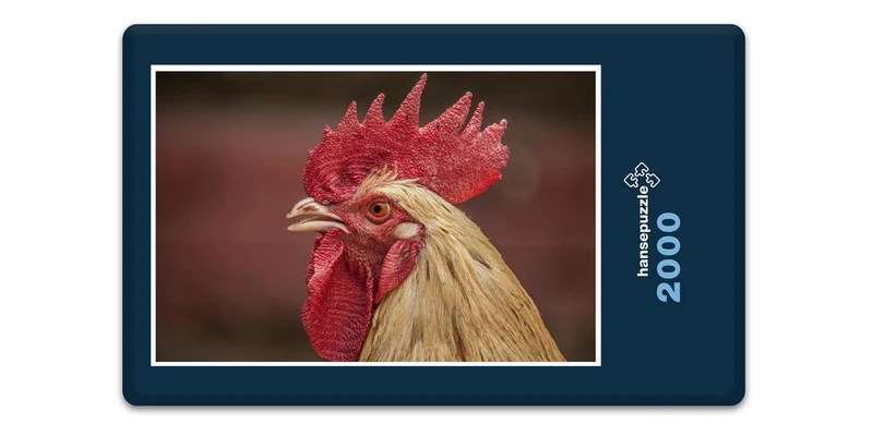 16672 Tierwelt - Hahn Puzzle