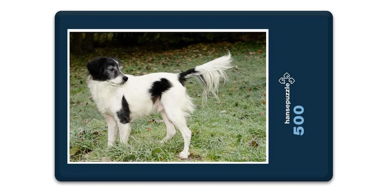 16799 Tierwelt - Hund im Garten Puzzle