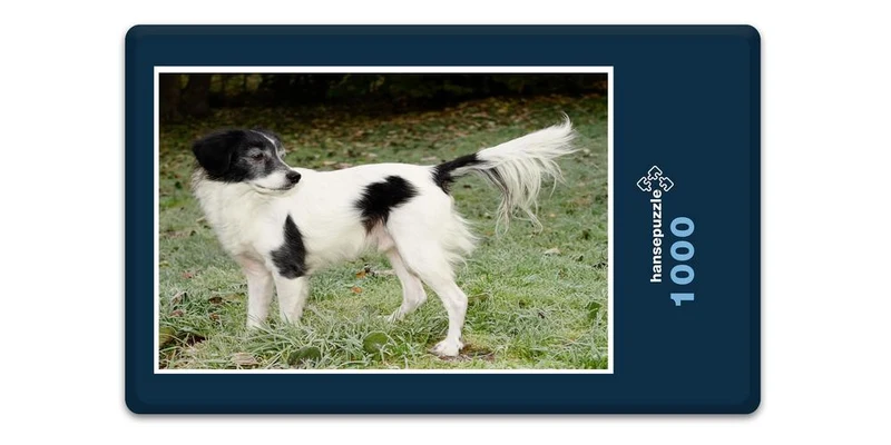 16799 Tierwelt - Hund im Garten Puzzle