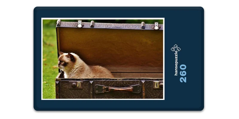 16667 Tierwelt - Katze im Koffer Puzzle