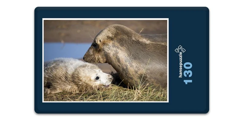 16662 Tierwelt - Seehund mit Baby Puzzle