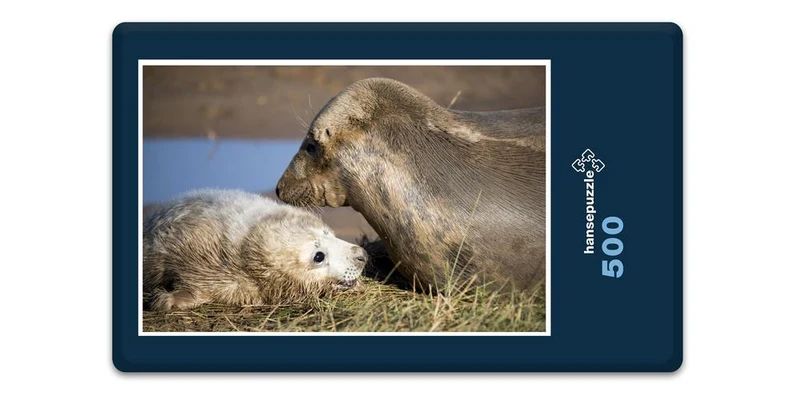 16662 Tierwelt - Seehund mit Baby Puzzle