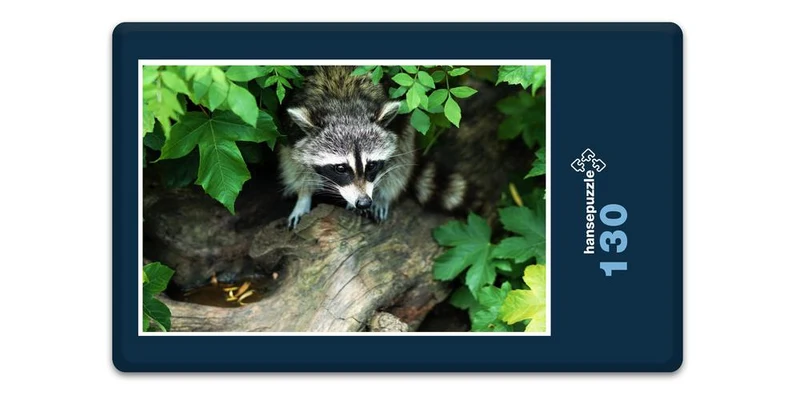 16657 Tierwelt - Waschbär im Baum Puzzle