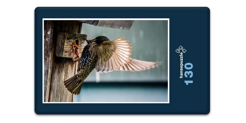 16652 Tierwelt - Vogel-Fütterung Puzzle