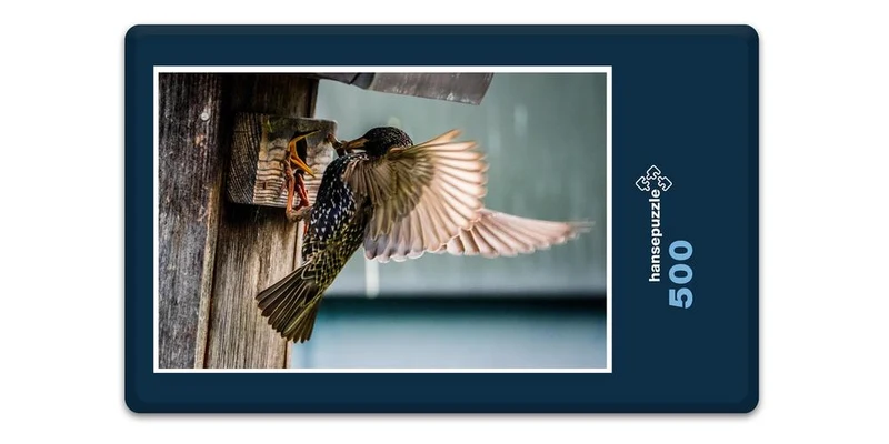 16652 Tierwelt - Vogel-Fütterung Puzzle