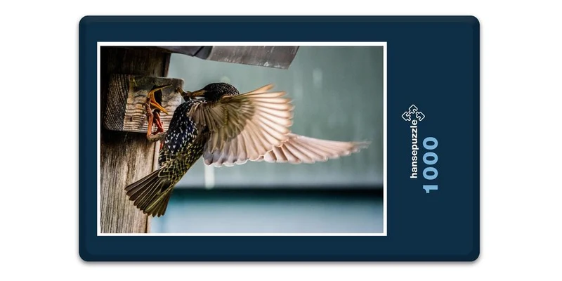 16652 Tierwelt - Vogel-Fütterung Puzzle
