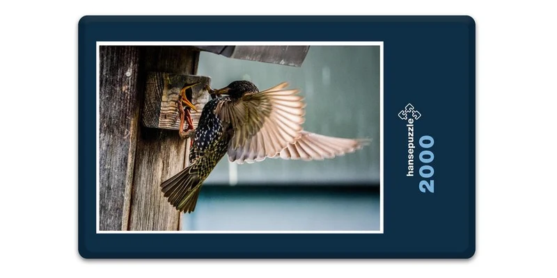 16652 Tierwelt - Vogel-Fütterung Puzzle