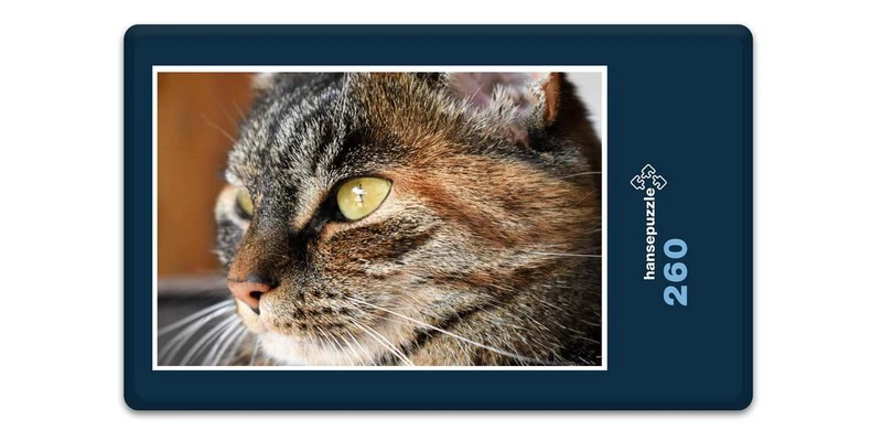 16646 Tierwelt - Katzen-Auge Puzzle