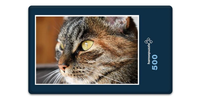 16646 Tierwelt - Katzen-Auge Puzzle