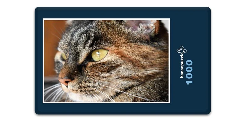 16646 Tierwelt - Katzen-Auge Puzzle