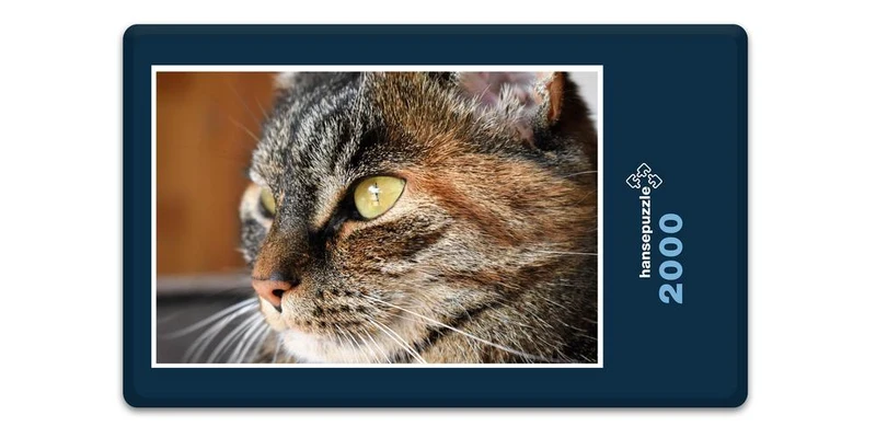 16646 Tierwelt - Katzen-Auge Puzzle