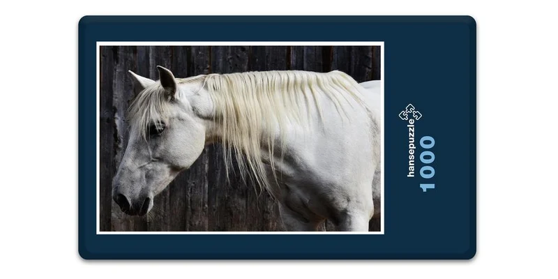 16639 Tierwelt - Pferd Puzzle