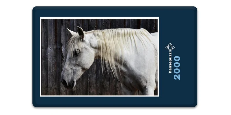16639 Tierwelt - Pferd Puzzle