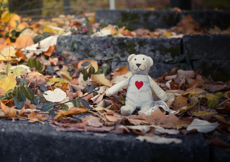 29763 Natur - Teddy im Herbst Puzzle