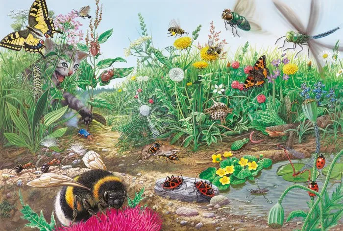 Discover the World of Insects, Werbepool Hartmann