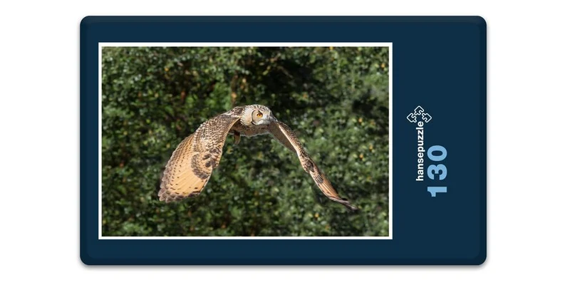 16634 Tierwelt - Eule im Flug Puzzle
