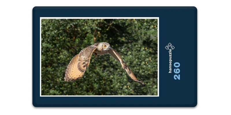 16634 Tierwelt - Eule im Flug Puzzle