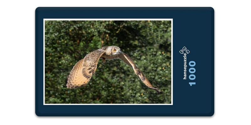 16634 Tierwelt - Eule im Flug Puzzle