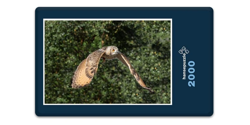 16634 Tierwelt - Eule im Flug Puzzle