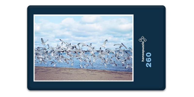 16621 Tierwelt - Möwen-Schwarm Puzzle