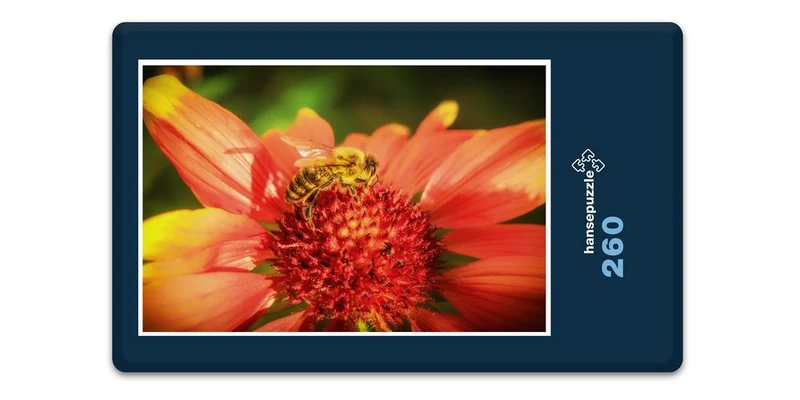 16616 Tierwelt - Biene Puzzle
