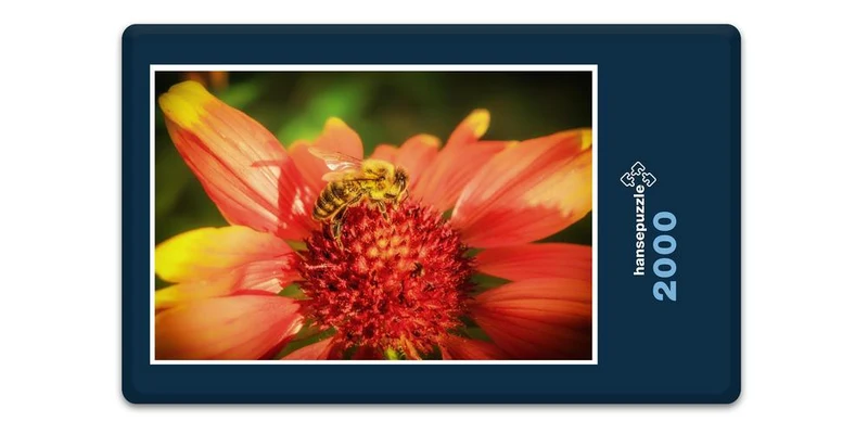 16616 Tierwelt - Biene Puzzle