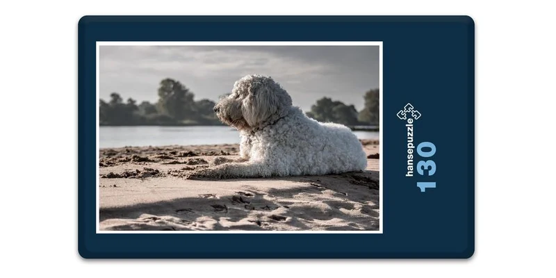 18066 Tierwelt - Hund am Strand Puzzle