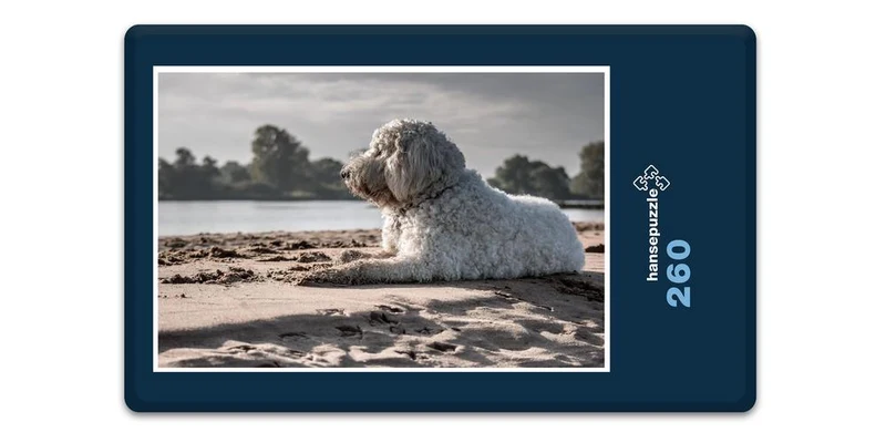 18066 Tierwelt - Hund am Strand Puzzle