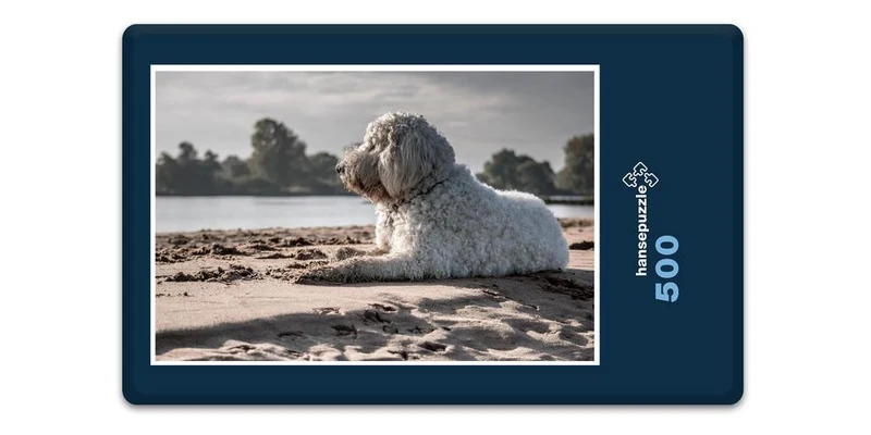 18066 Tierwelt - Hund am Strand Puzzle