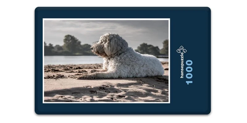 18066 Tierwelt - Hund am Strand Puzzle