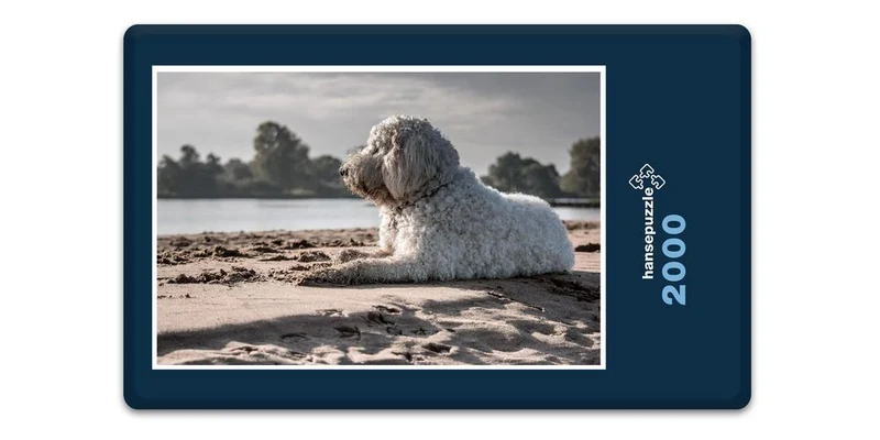 18066 Tierwelt - Hund am Strand Puzzle
