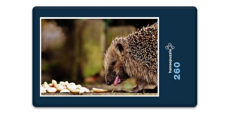 18065 Tierwelt - Igel Puzzle