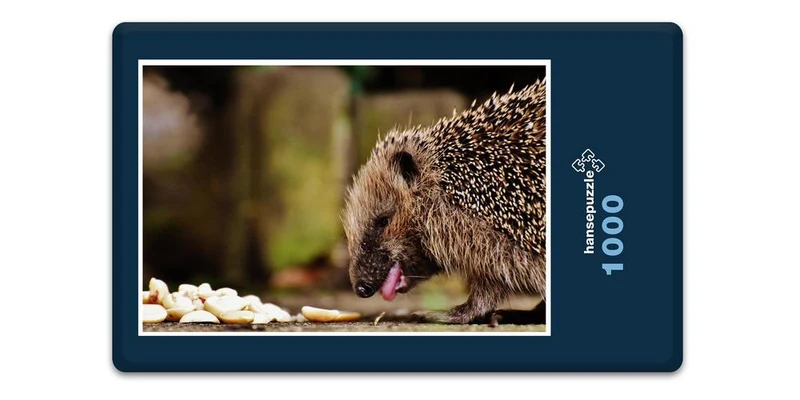 18065 Tierwelt - Igel Puzzle