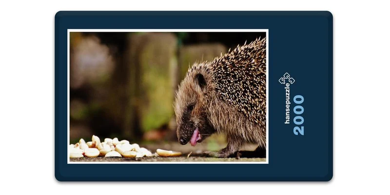 18065 Tierwelt - Igel Puzzle