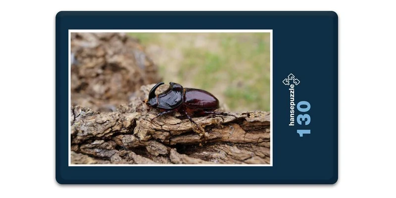 18064 Tierwelt - Nashorn-Käfer Puzzle
